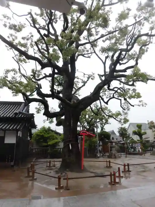 泉殿宮のその他建物
