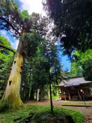 白河神社(福島県)