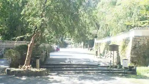 園城寺（三井寺）(滋賀県)