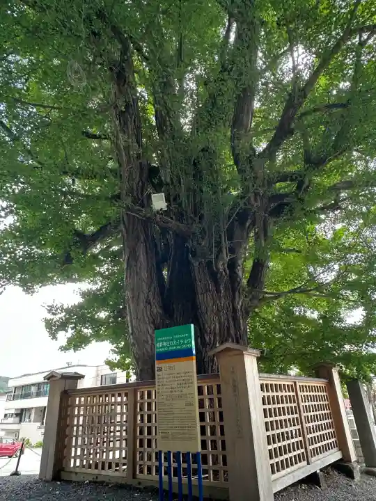 熊野大社(山形県)