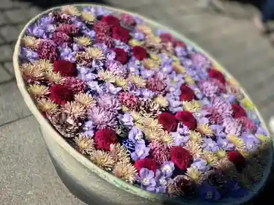行田八幡神社の手水舎