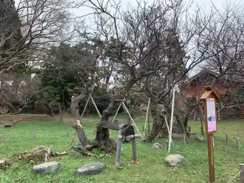 松前神社の手水