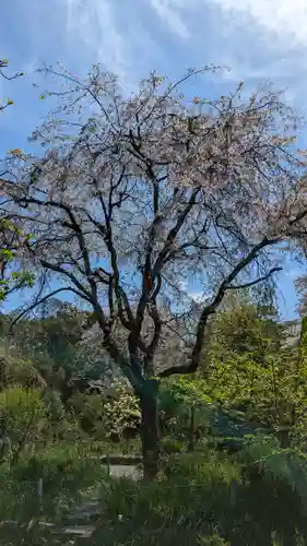 惠心院(京都府)