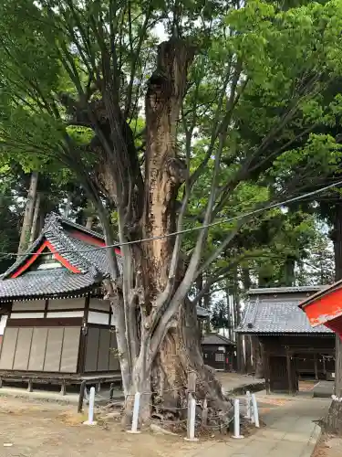 天神中條天満宮(山梨県)