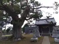 天満神社(福井県)