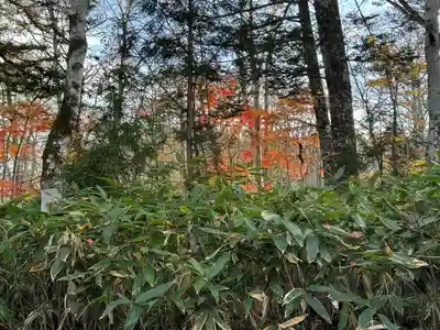 戸隠神社九頭龍社(長野県)