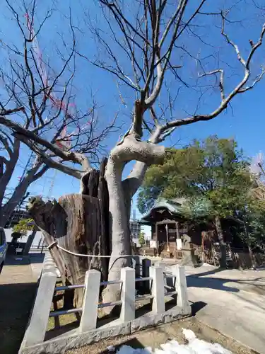 阿邪訶根神社(福島県)
