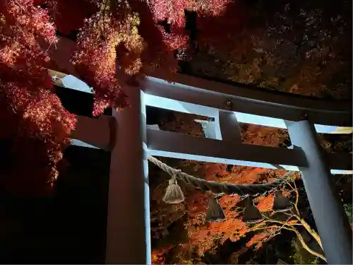 宝登山神社(埼玉県)