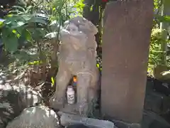 江島杉山神社の狛犬