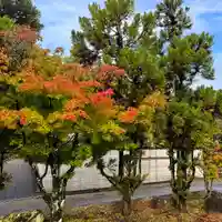伊勢の国 四天王寺(三重県)