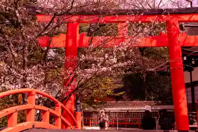 賀茂御祖神社（下鴨神社）(京都府)