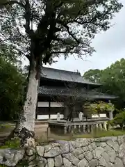 観世音寺(福岡県)