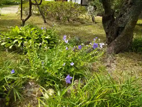 法華寺(奈良県)