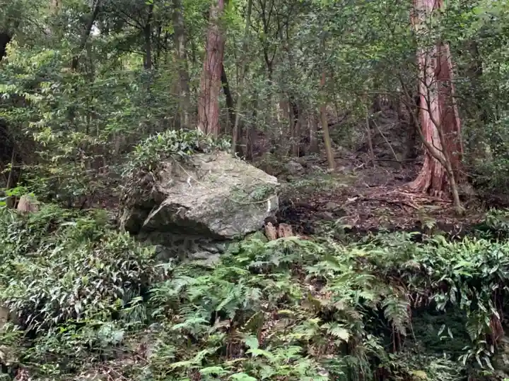多度大社の自然