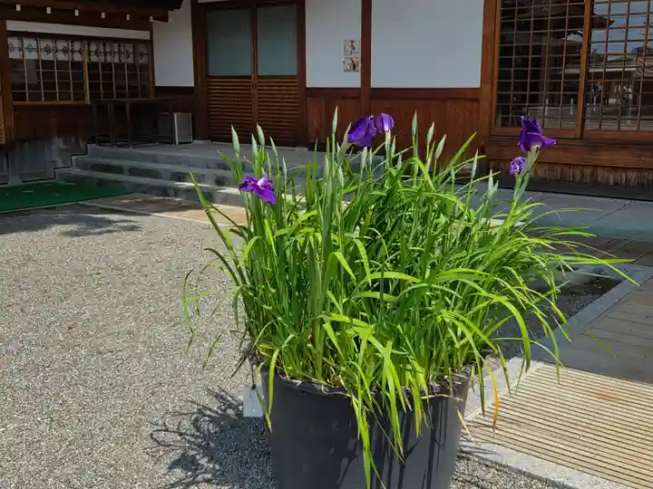 尾張大國霊神社(国府宮)(愛知県)