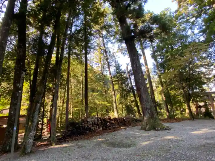 丹生神社の自然