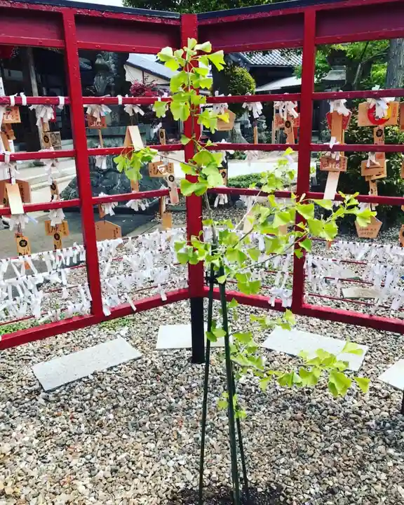 總社 和田八幡宮の自然