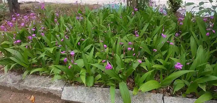比佐豆知神社(三重県)