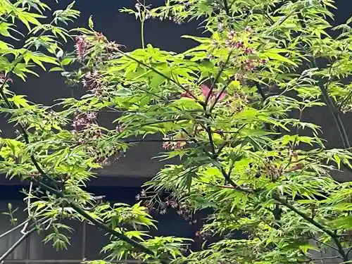 遠照山 光明寺（尼崎大仏）(兵庫県)