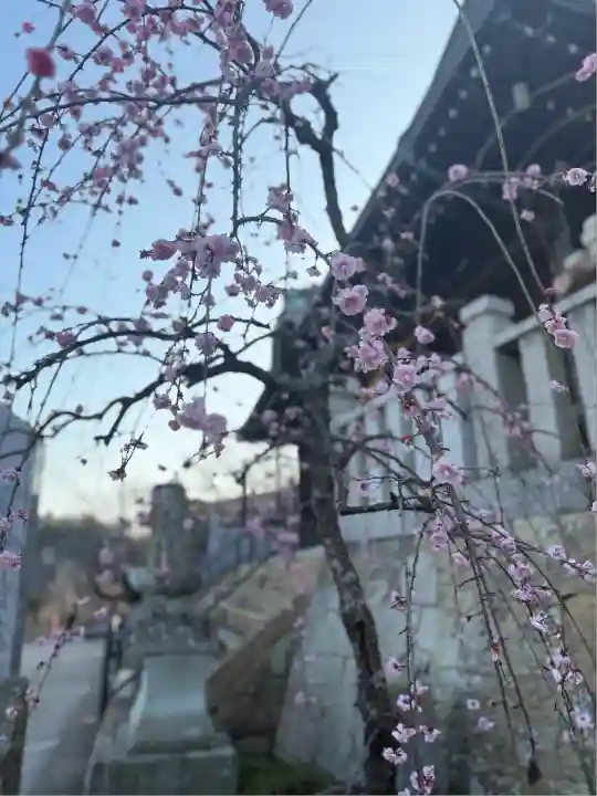生石神社(兵庫県)