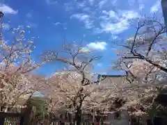 根津神社の庭園