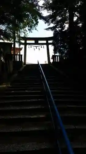 椎尾八幡宮の鳥居