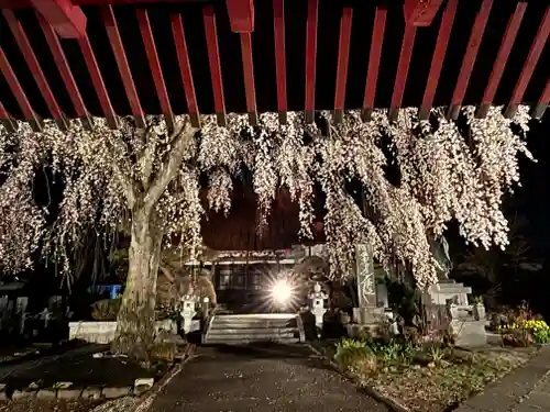 妙道寺(栃木県)