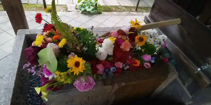 勝林寺の手水舎