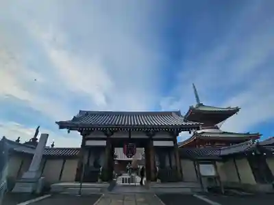 圓乘院の山門・神門