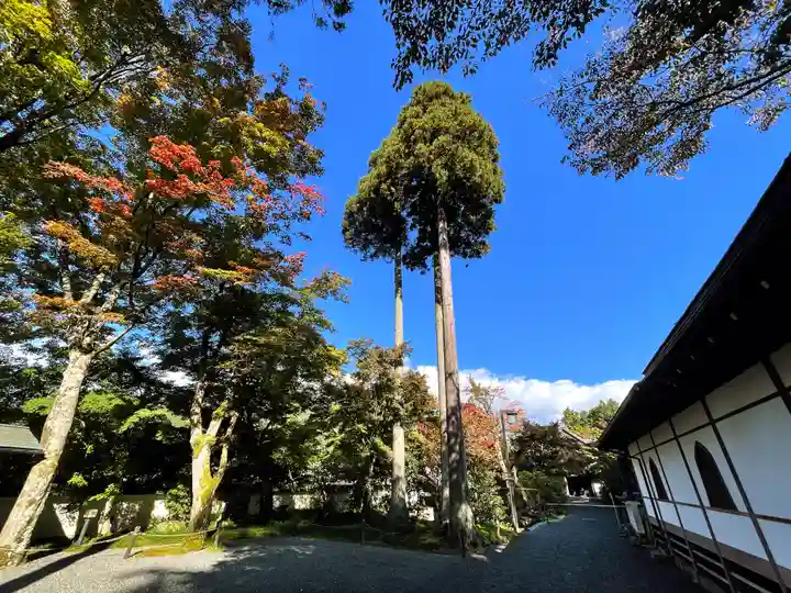 三千院門跡(京都府)