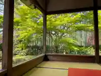 宝泉院の庭園