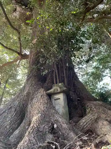 熊野神社の自然