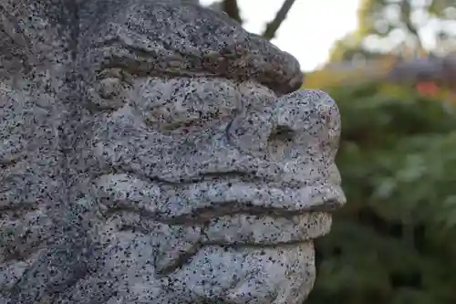 晴明神社の狛犬