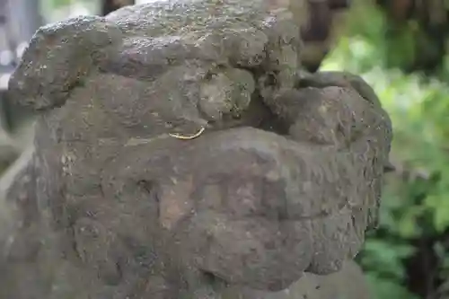 越谷香取神社の狛犬