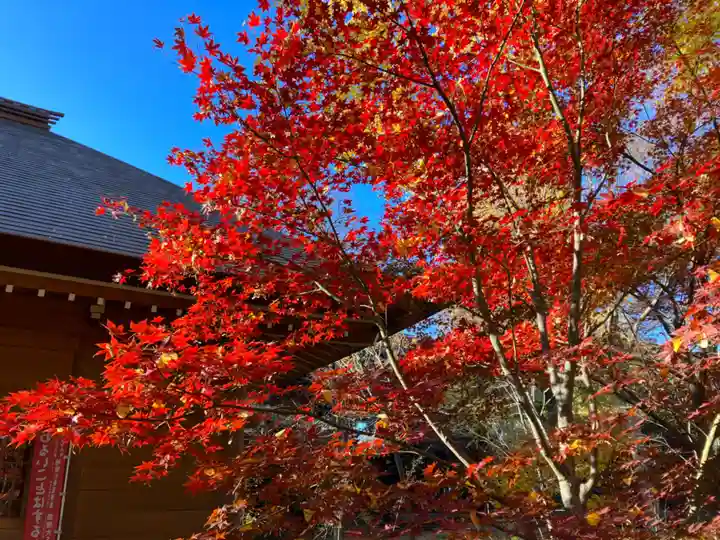淨眞寺(東京都)