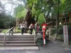 來宮神社(静岡県)