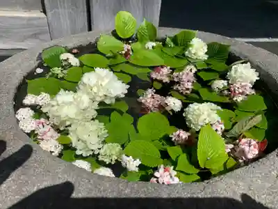 大聖護国寺(群馬県)