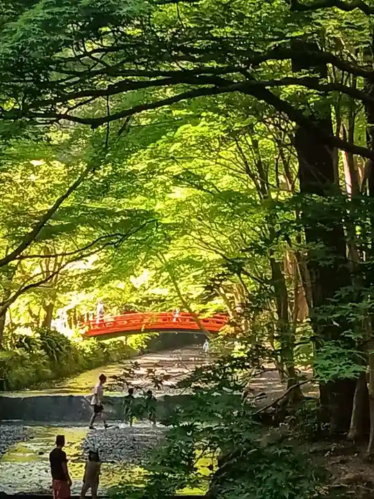 小國神社の自然