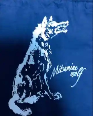 ニホンオオカミが描かれている三峯神社の御朱印帳袋です🐺⛩