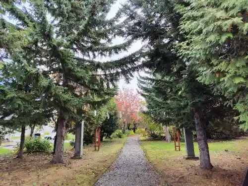 美瑛神社の自然