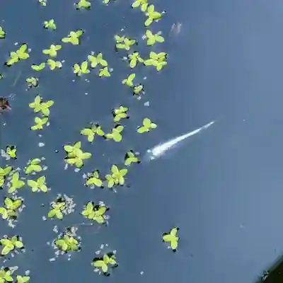 伊勢の国 四天王寺(三重県)