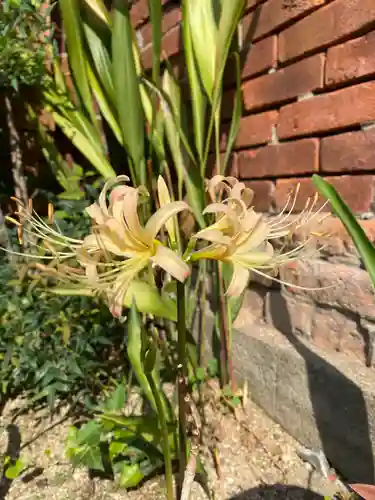 日蓮宗 安楽寺の自然