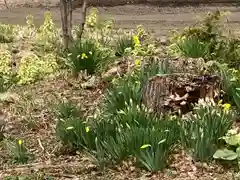 西当別神社の自然