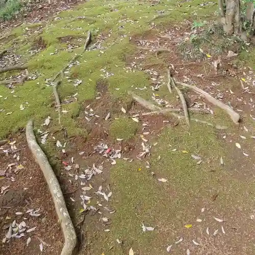 國土神社の自然