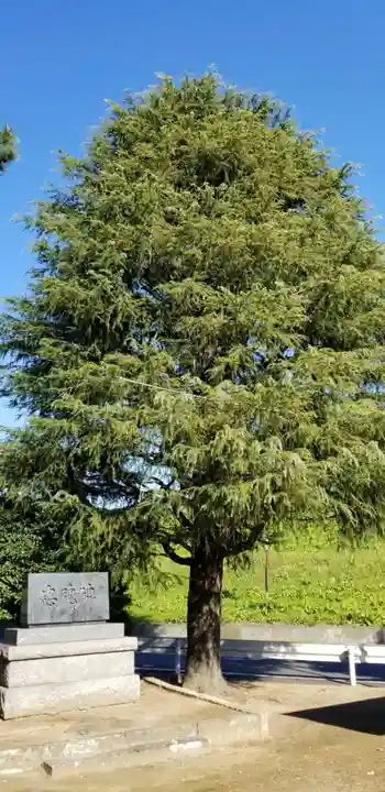 天豊受神社の自然