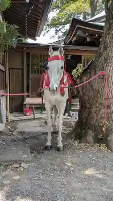 熊野神社(京都府)