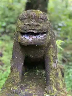 上色見熊野座神社の狛犬
