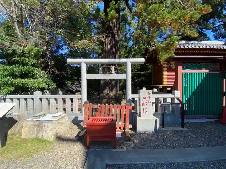 大杉神社(茨城県)