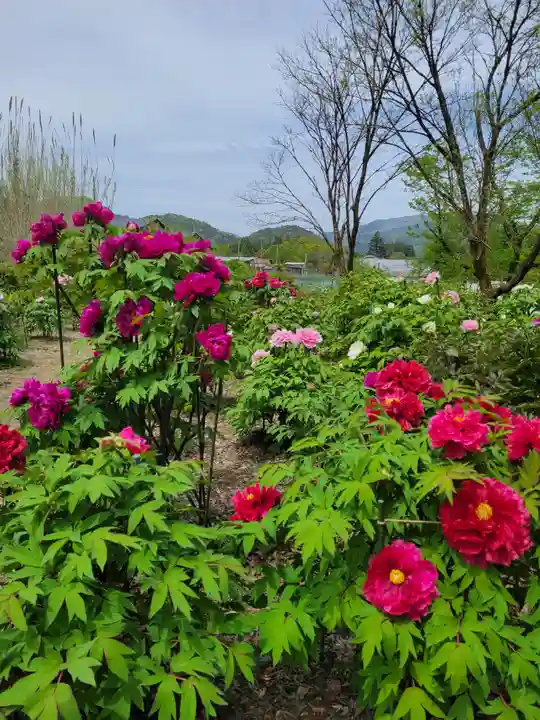 隆国寺(兵庫県)