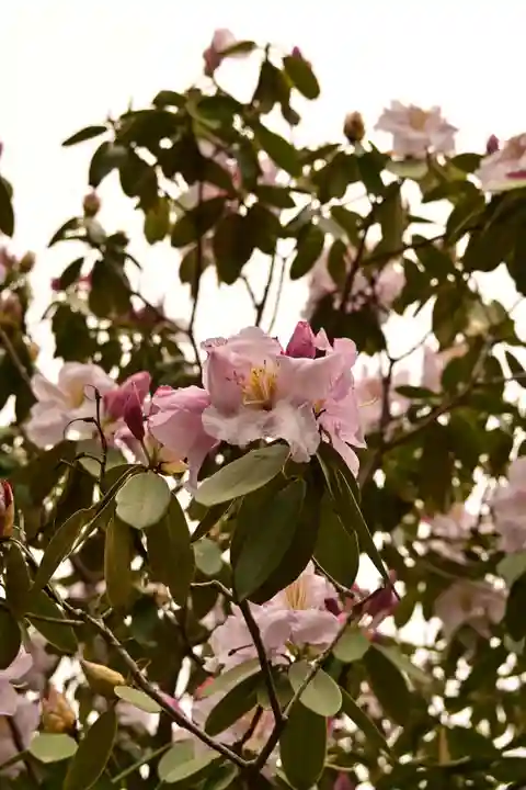 正福寺(茨城県)